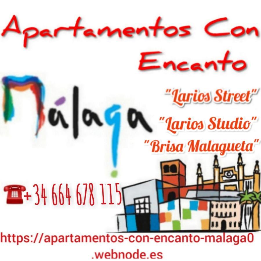 Apartamento Con Encanto 'Larios Studio' Apartment Malaga Ngoại thất bức ảnh